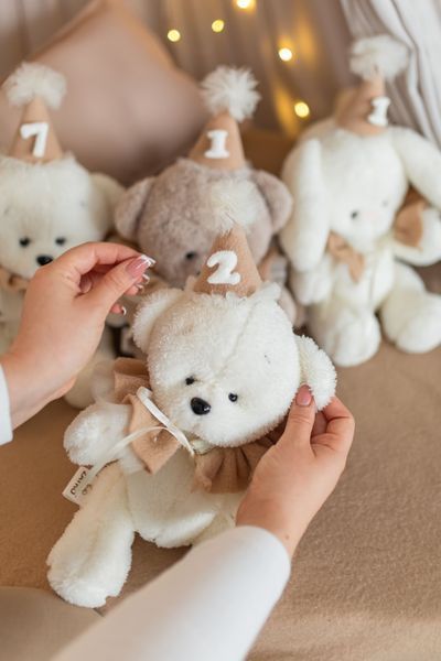 ZAYKO Birthday Bears - набір для фото малюка 1&ndash;12 місяців 19_009 фото