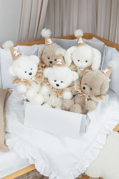 ZAYKO Birthday Bears - набір для фото малюка 1&ndash;12 місяців 19_009 фото