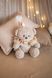 ZAYKO Birthday Bears - набір для фото малюка 1&ndash;12 місяців 19_009 фото 17