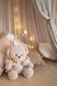 ZAYKO Birthday Bears - набір для фото малюка 1&ndash;12 місяців 19_009 фото 18