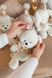 ZAYKO Birthday Bears - набір для фото малюка 1&ndash;12 місяців 19_009 фото 1